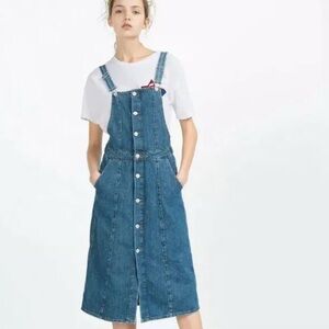 Zara Denim Button-Down Dress